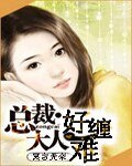 總裁大人好難纏