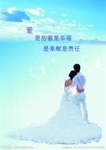 《總裁的極品天使》
