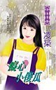 《痴心小傻瓜(天地門之四)》