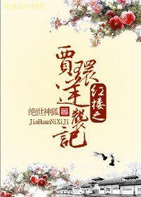 《(BL/紅樓同人)紅樓之賈環逆襲記》