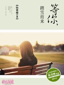《等你,踏雪而來》