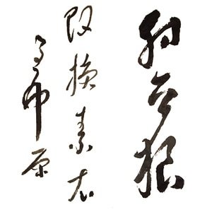 《(盜墓筆記同人)射天狼》