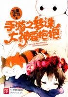 《手遊之夢誅大神要抱抱》