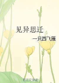 《見異思遷》