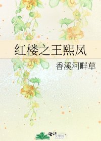 《紅樓之王熙鳳》