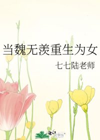 《陳情令魔道祖師同人之當魏無羨重生為女》