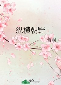 《縱橫朝野》