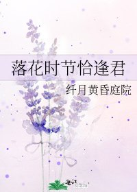 《落花時節恰逢君》