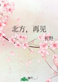 《北方,再見》