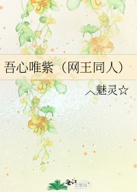 《吾心唯紫(網王同人)》