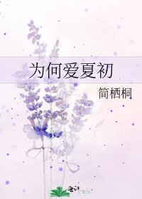 《為何愛夏初》