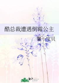 《酷總裁遭遇倒黴公主》