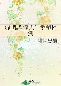 《(神鵰&倚天)拳拳相劍》
