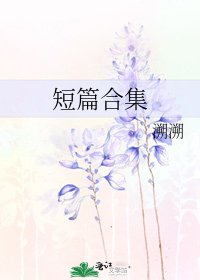 《短篇合集》
