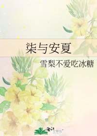《柒與安夏》