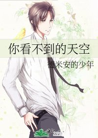 《你看不到的天空》