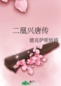 《二凰興唐傳》